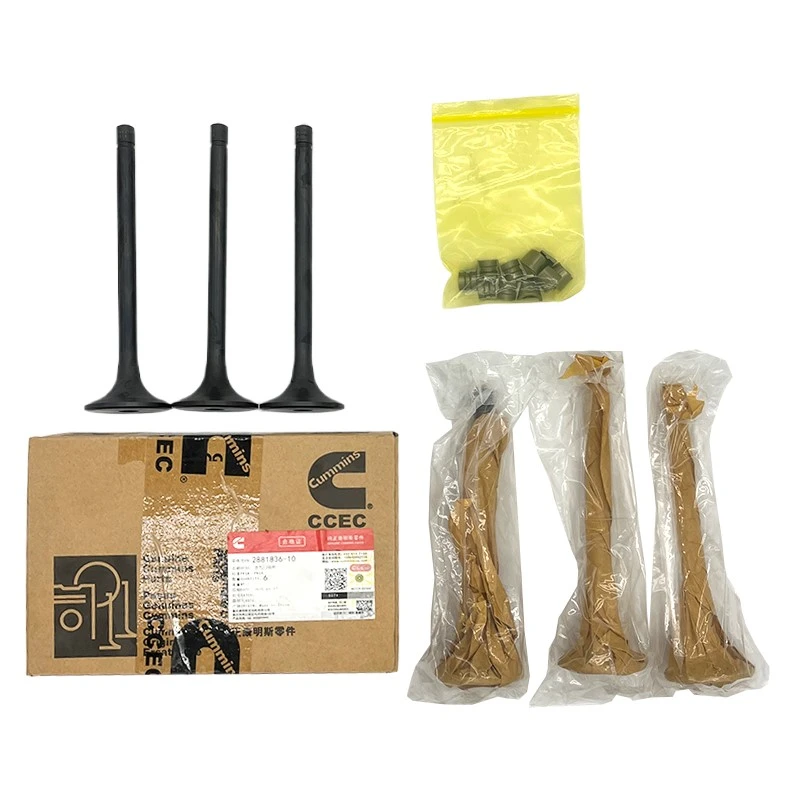 product-800-800